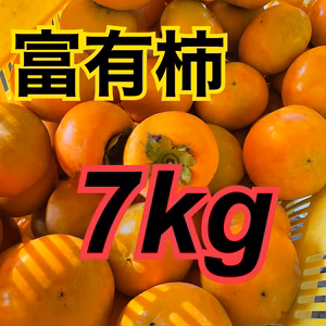 今が旬‼️富有柿7kg詰め合わせ⭐️産地直送
