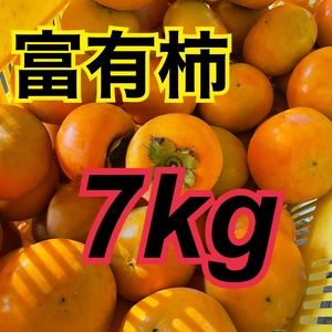 今が旬‼️富有柿7kg詰め合わせ⭐️産地直送