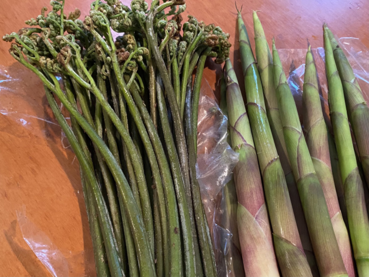 ワラビ 山菜 灰汁抜用の木灰付き 自然栽培 農家漁師から産地直送の通販 ポケットマルシェ