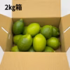 訳なし！グリーンレモン【2㎏・5㎏・10㎏】