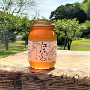 【500g】百花 国産純粋はちみつ＊お徳用＊／三重県南伊勢町・伊勢志摩産