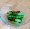 【7/10収穫▪発送】【クール便】訳ありお買い得！農薬不使用☆地這いキュウリ