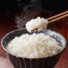 新潟県産　つきあかり&こしいぶき10kg(無洗米)  食べ比べセット令和3年産