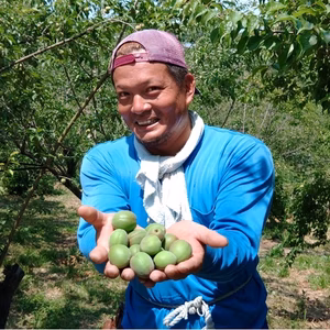 (特別栽培)和歌山県産　南高梅　A品Lサイズ(梅干し用)