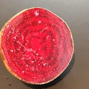 宮崎県産  朝採れビーツ （ソーレ500ｇ）