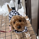 れいちゃんさん