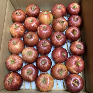 バラ詰め甘酸っぱいリンゴ　千秋　ご家庭用約5キロ