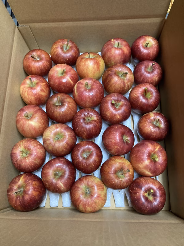 バラ詰め甘酸っぱいリンゴ　千秋　ご家庭用約5キロ
