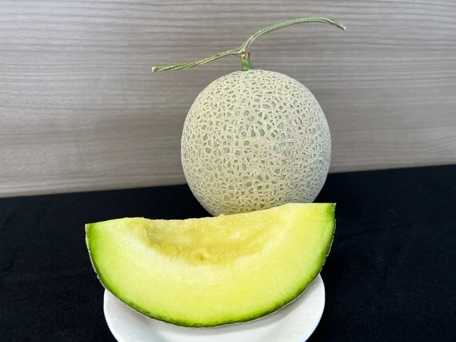 ◤低カリウム◢しまね夢メロンを使用したアイスクリームセット