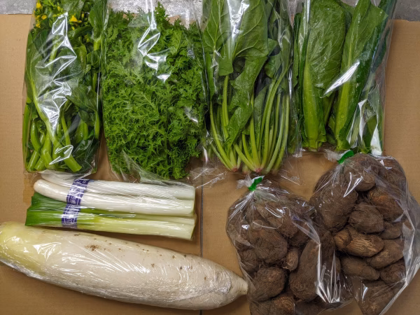 サトイモ、ダイコン、ネギ、ホウレンソウ、アスパラ菜、わさび菜、茎立ち