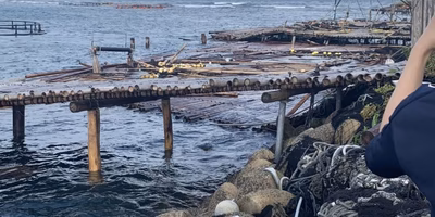 買って支援、食べて支援を！【台風9・10号】被害をうけた生産者さんの品をご紹介