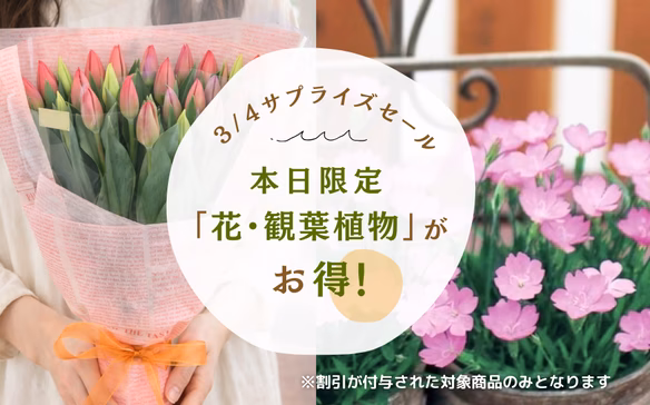 旬のサプライズセール！花・観葉植物200円オフ
