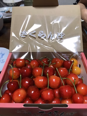 みんなの投稿の画像