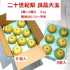 【良品大玉】二十世紀梨６～8個入 3kg