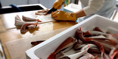 私には、これさえあればいいの。新潟の魚のすり身