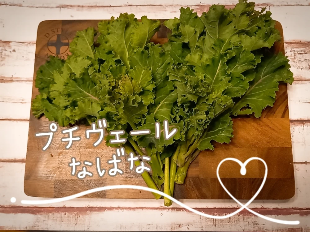 3月発【予約増量　注文しないで下さい】”大人”な春の味　プチヴェールナバナ　