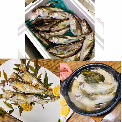 みんなの投稿の画像