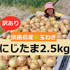 訳】みずみずしくシャキッと甘い！淡路島産ブランド新玉ねぎ 『にじたま』2.5kg