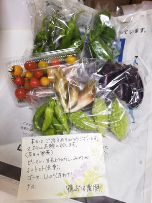 みんなの投稿の画像