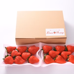 朝採り紅ほっぺ