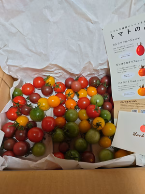 みんなの投稿の画像