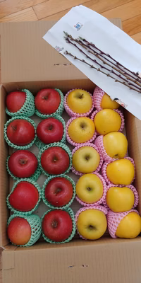 みんなの投稿の画像