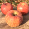 2020年産 信州りんご サンふじ【訳あり約2～10㎏】 シャキシャキ CA貯蔵