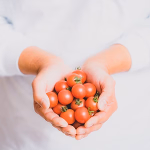 【母の日ギフト】さくまあまこい 箱込2キロミニトマト