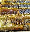日本蜜蜂のはちみつ、非加熱だから生きてます。