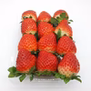 甘味と旨味がオススメのいちご②（中粒中心）
