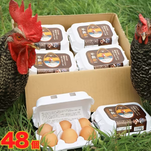 【北海道】平飼い卵「ななエッグ」6個入り 8パックセット(合計48個)