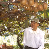 古屋久揮 | 山梨を直売！k.farm 椚農園