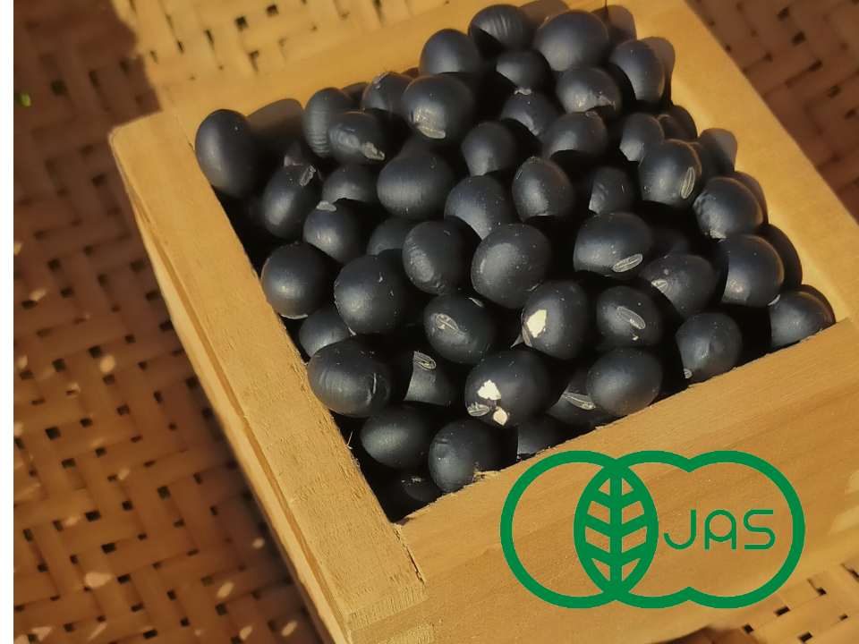 風味豊かな農薬不使用の有機黒豆！400g×2お試しサイズ 除草剤・化学