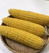 <鬼もろこし>   養豚農家が育てた極甘旨とうもろこし！