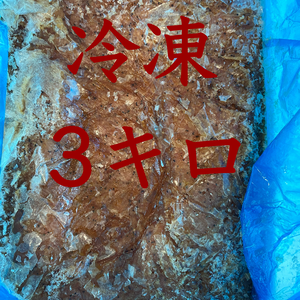 三陸産　冷凍イサダ　オキアミ　　3キロ