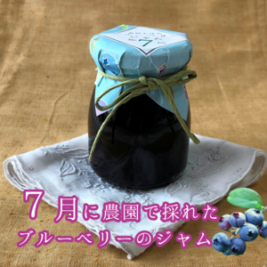 7月に採れたブルーベリーのジャム