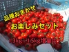 【川上農園】品種おまかせ　ミニトマト 1.5kg 茨城県産