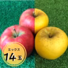 【贈答用】りんご食べ比べ14玉箱入※品種指定なし