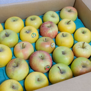 【家庭用】【お買い得】小玉りんご詰め合わせ