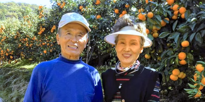 来てます来てます…！1月上旬の注目生産者ピックアップ