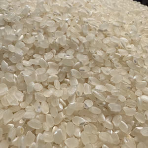 つやつや光るコシヒカリ令和６年度茨城県大子町産5kg