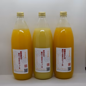 樹熟みかん・樹熟清見・紅八朔の飲み比べセット