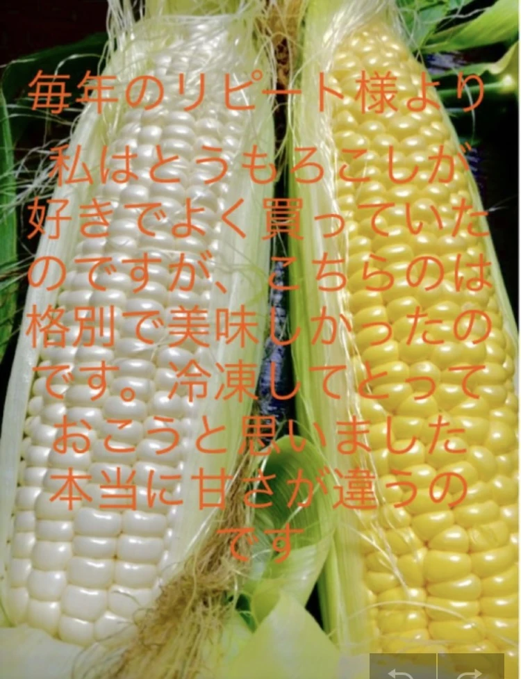 あま〜いとうもろこし黄色4白4計8本糖度20〜23度(*´꒳`*)｜野菜の商品 ...