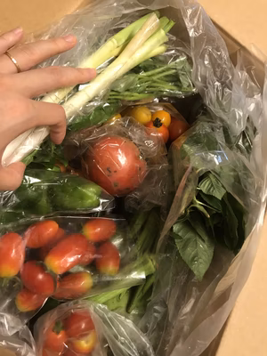 みんなの投稿の画像