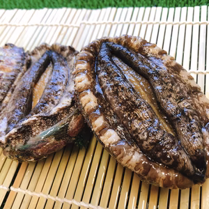 天然活えぞあわび（100mm〜）