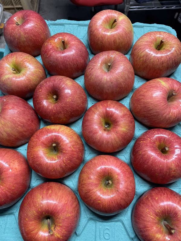 【青森県産】サンふじりんご10キロ32個入