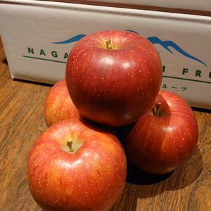 朝採り直送！1日限定10箱！信州麻績村産のシナノスイート(家庭用)！