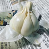 フレッシュ生にんにく！