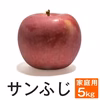 長野県産 サンふじ【家庭用5kg】 減農薬 葉とらず 10月中旬頃出荷予定
