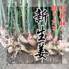 超新鮮！生姜マニアが作る新生姜4㎏　11月1日順次発送予定　